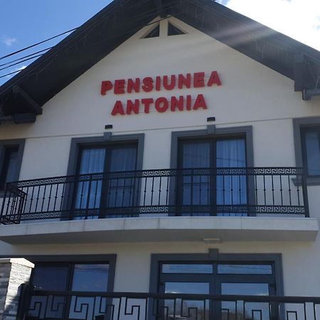 Pensiunea Antonia Sighetu Marmatiei Exterior photo